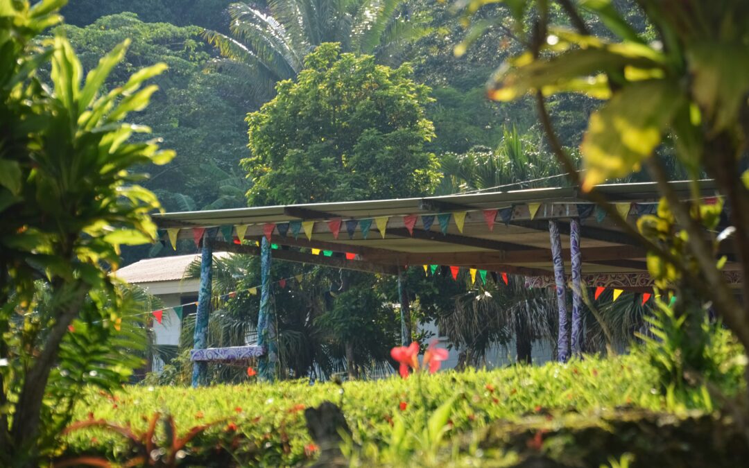 Vanuatu is well known for its lush landscape - Image credit: Jeremy Bezanger on Unsplash