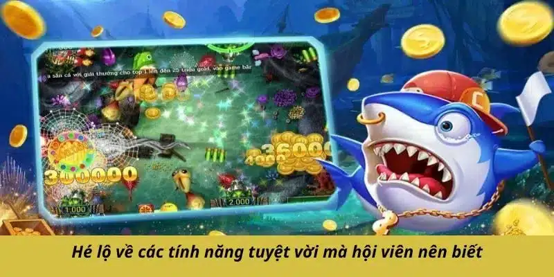 Hé lộ về các tính năng tuyệt vời mà hội viên nên biết